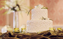 Dolce Vita Dolce Vita Collection